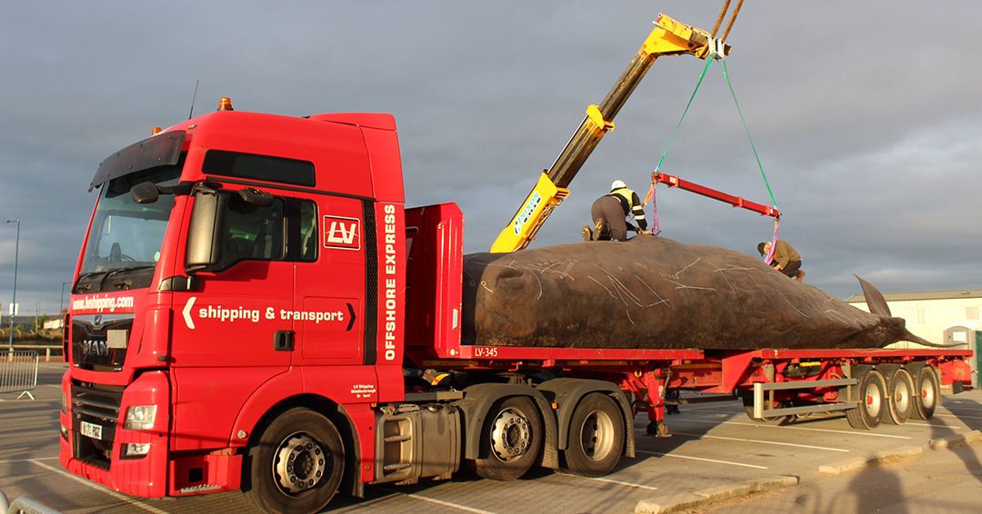There's a whale on the road! Lubbers and LV Logistics move a