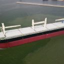 COSCO Shipping Specialized Carriers have taken delivery of its latest vessel, the Green Vitoria, a 77,000-ton multipurpose wood pulp carrier.